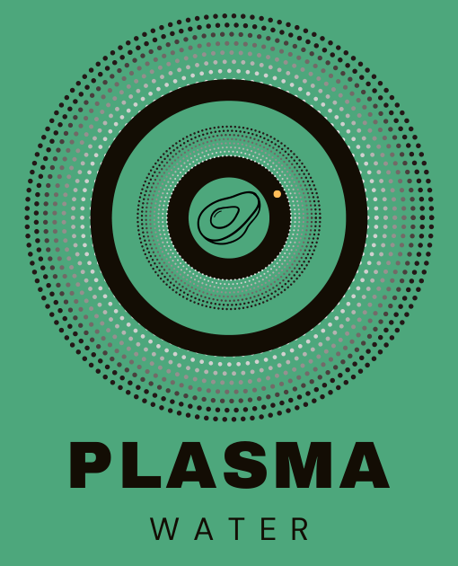 logo_plasma_pagina_19.jpg